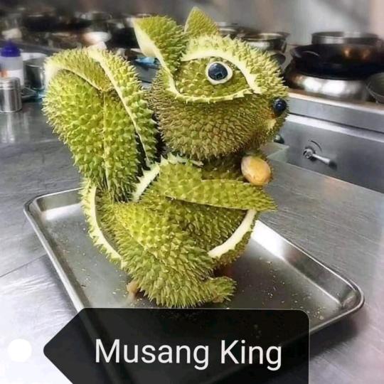 华北榴莲经销处