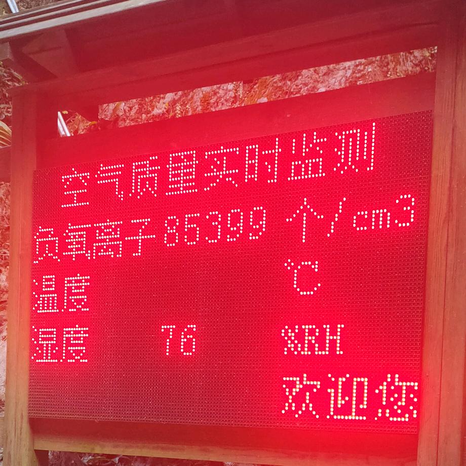 我也不要了