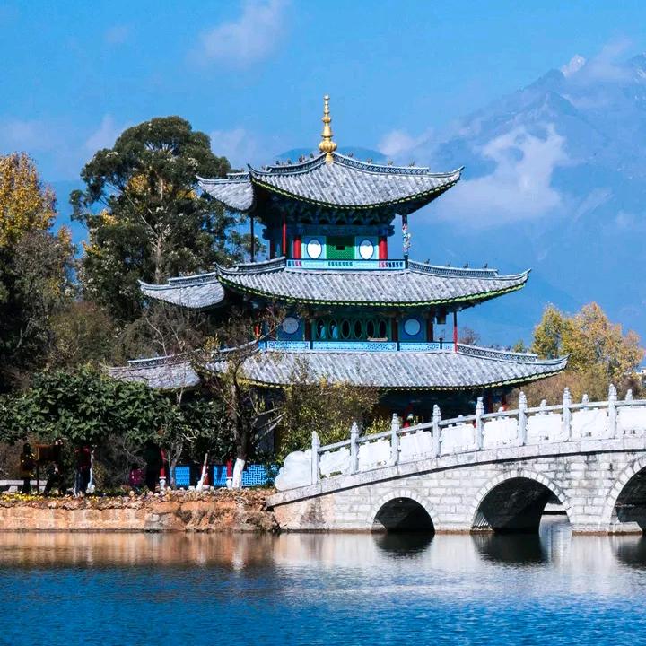 杨杨