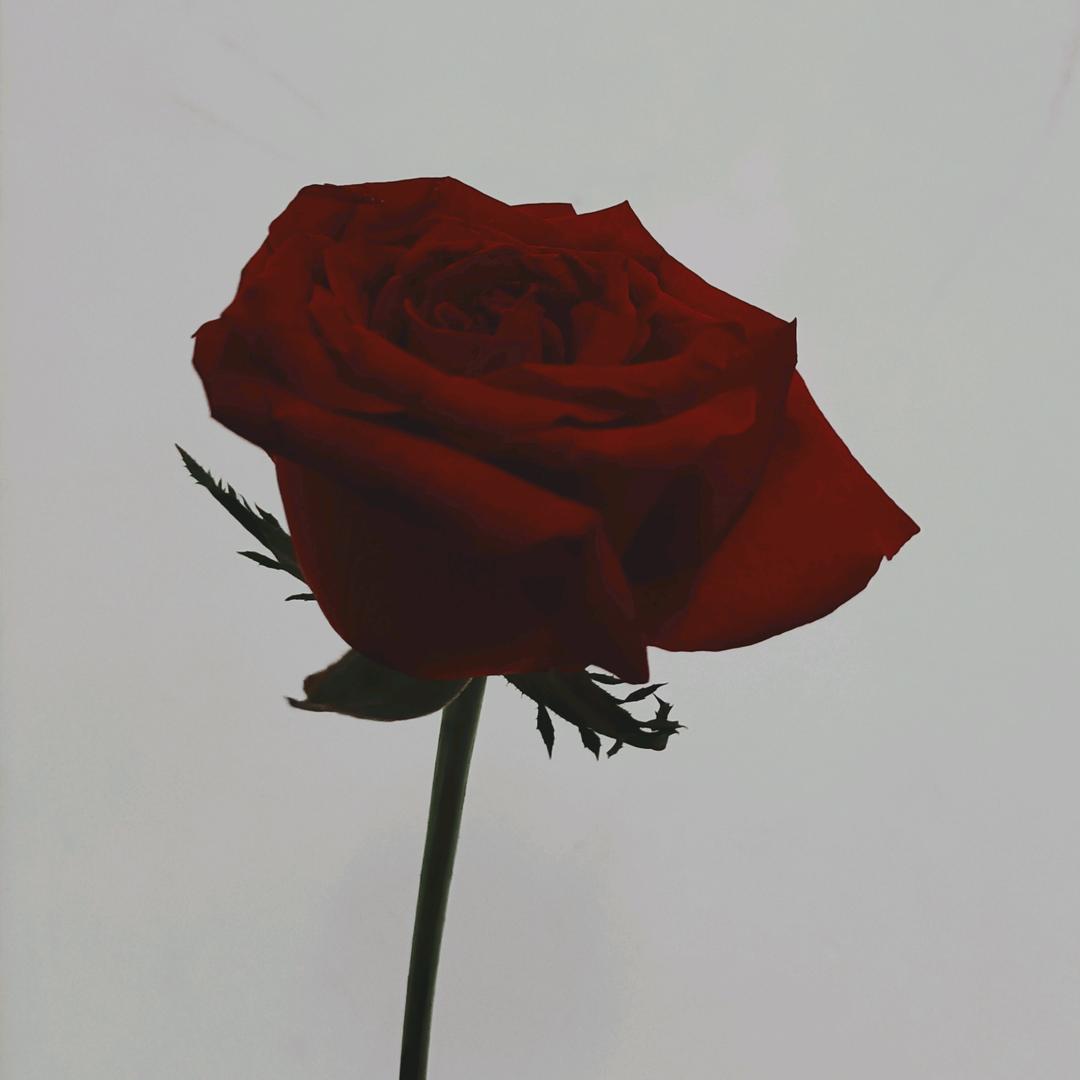 @是艳丫头吖