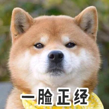 白了个白