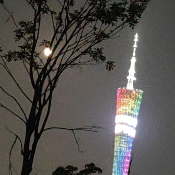 龙