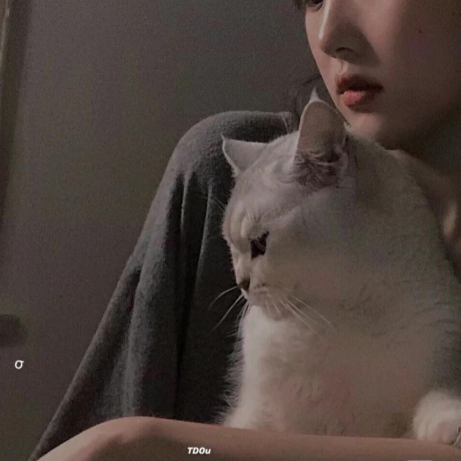 晚睡协会常任理事