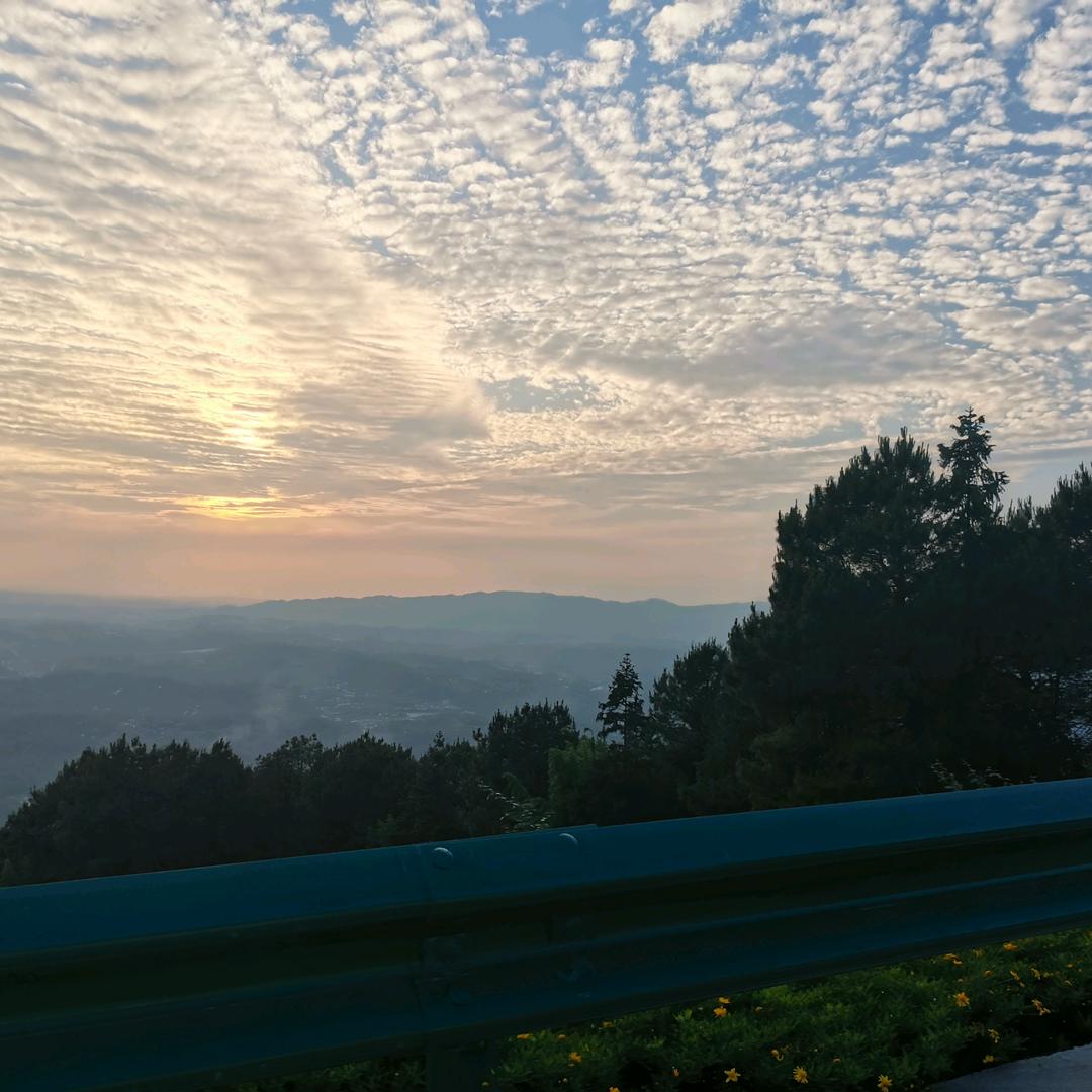 可乐的夏天有气泡