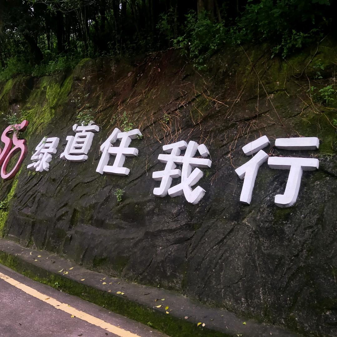 ☜顺理成张☞