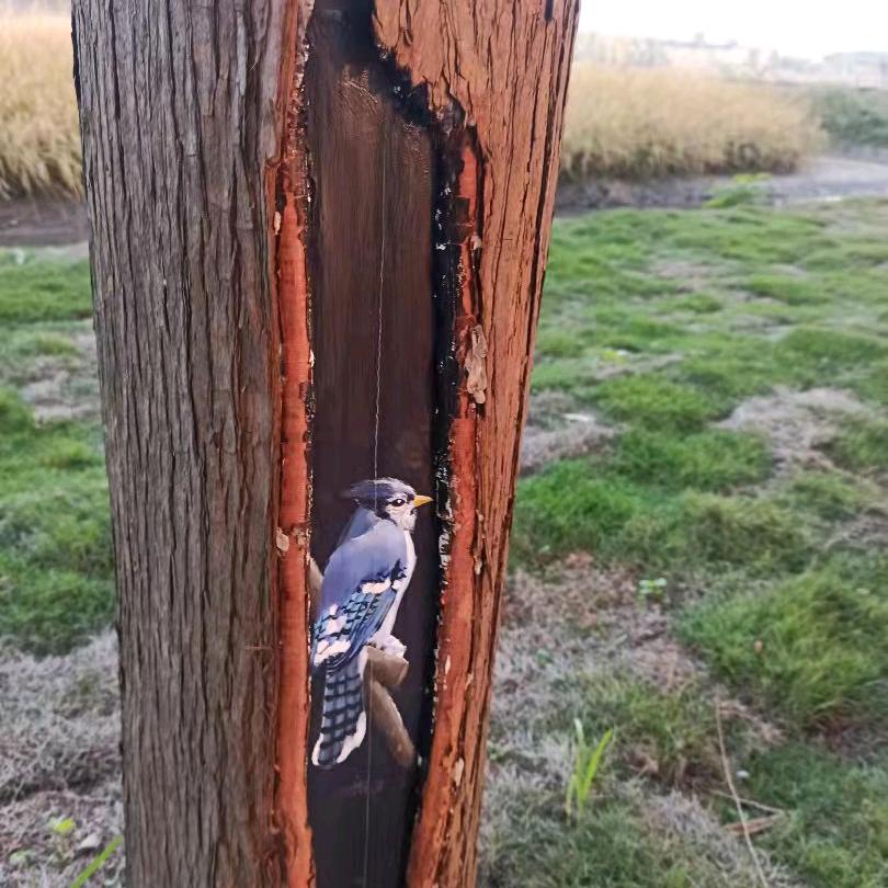 主🌲赐🌺平🌹安👭