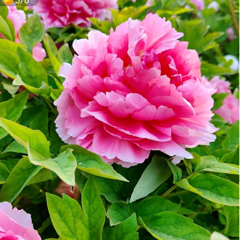 居家好物，精选好心情