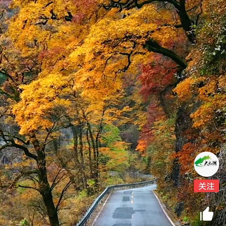 与你同行