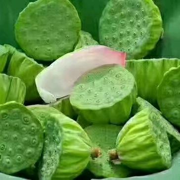 满