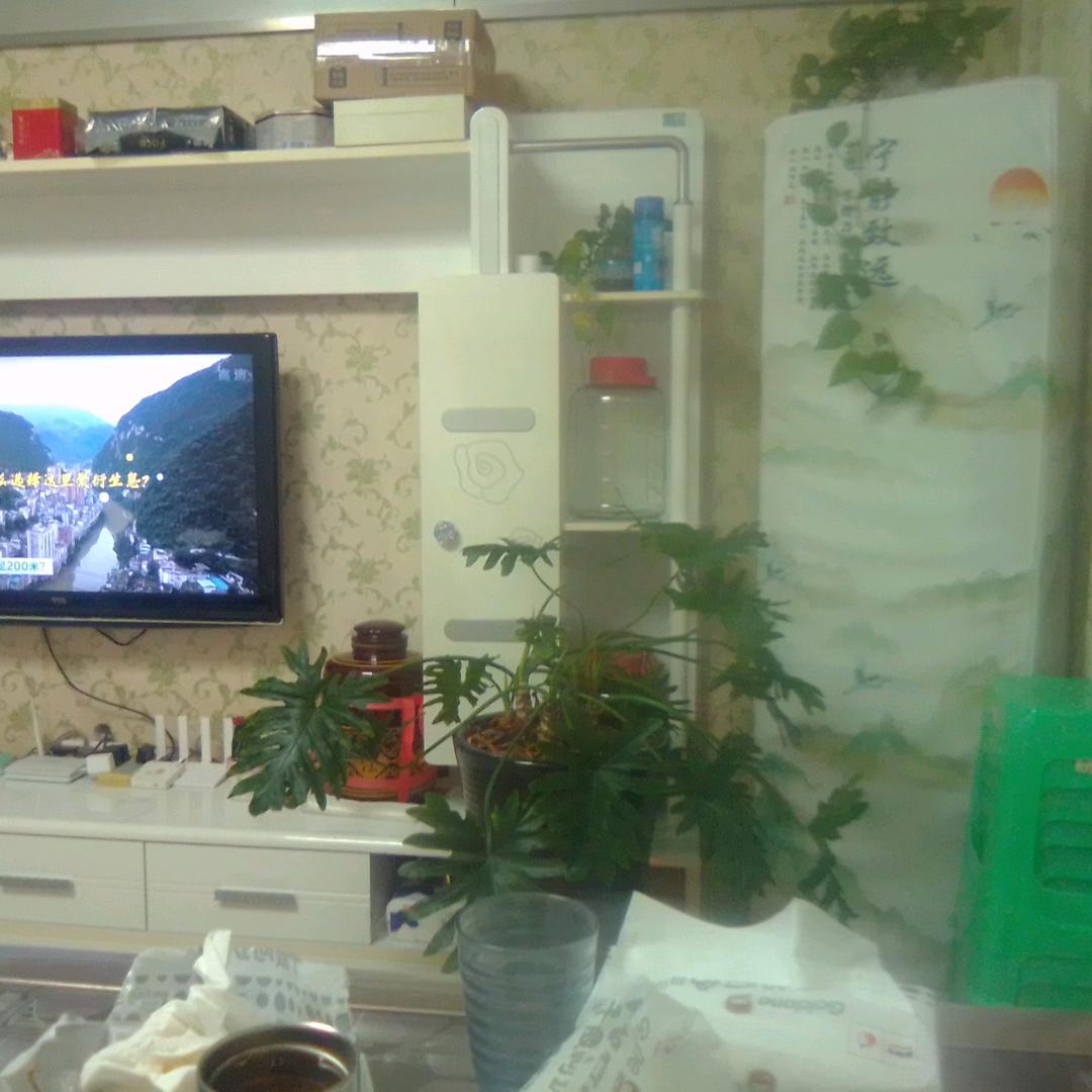 春风化雨1