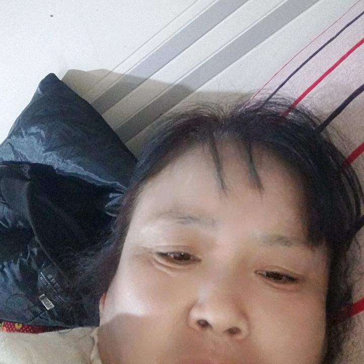 登凤
