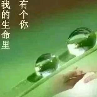 用户6367998520935拼博