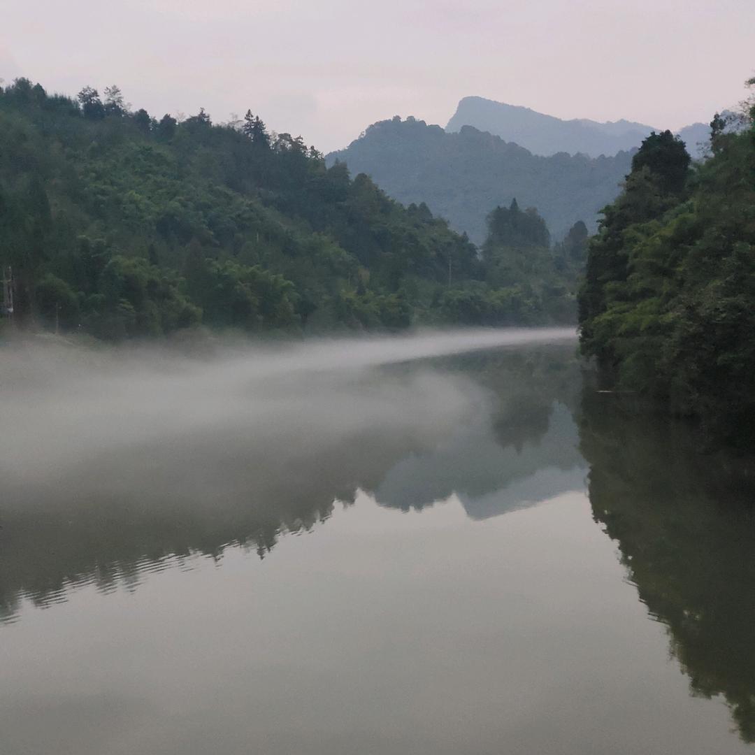 顺心顺意