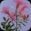 用户244119373从头再来