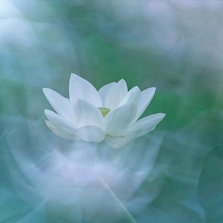 随心自在“”
