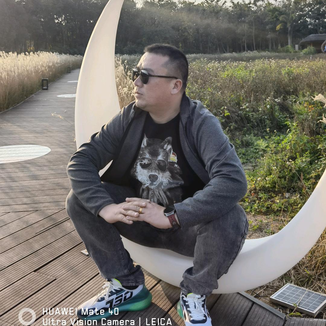 随风而立