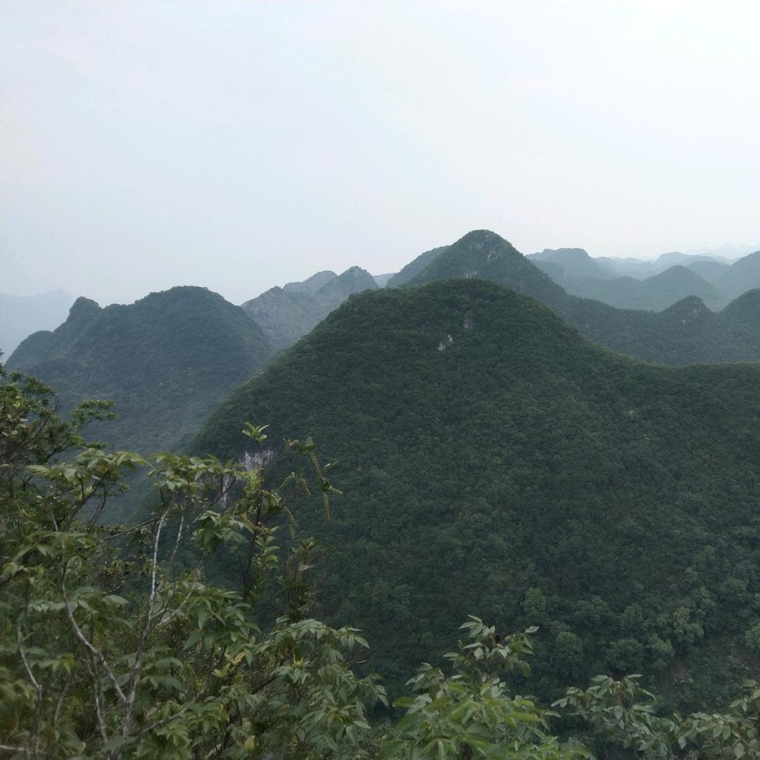关岭佬乡土特产