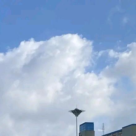 涛臻优品