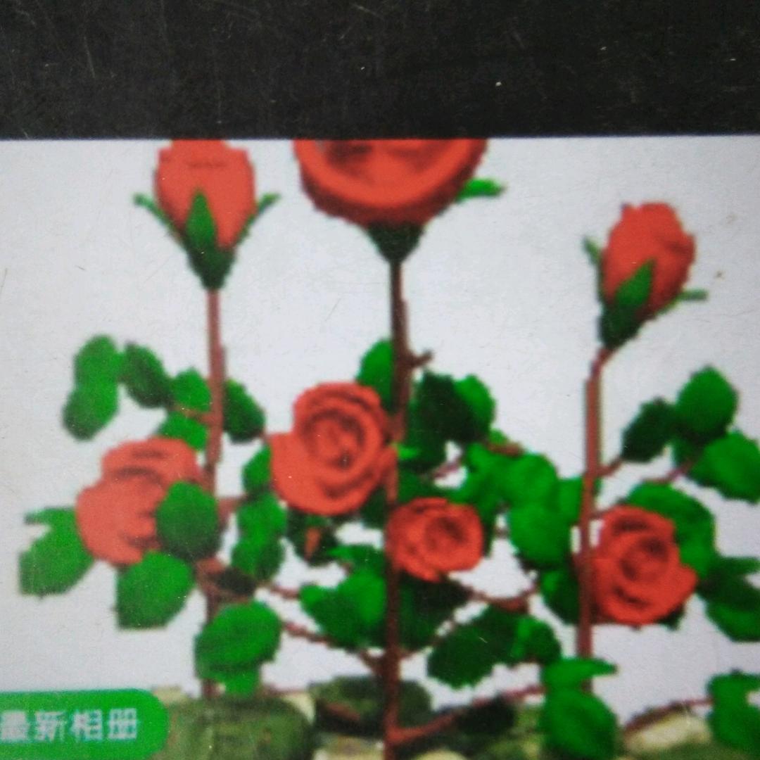 ¥$