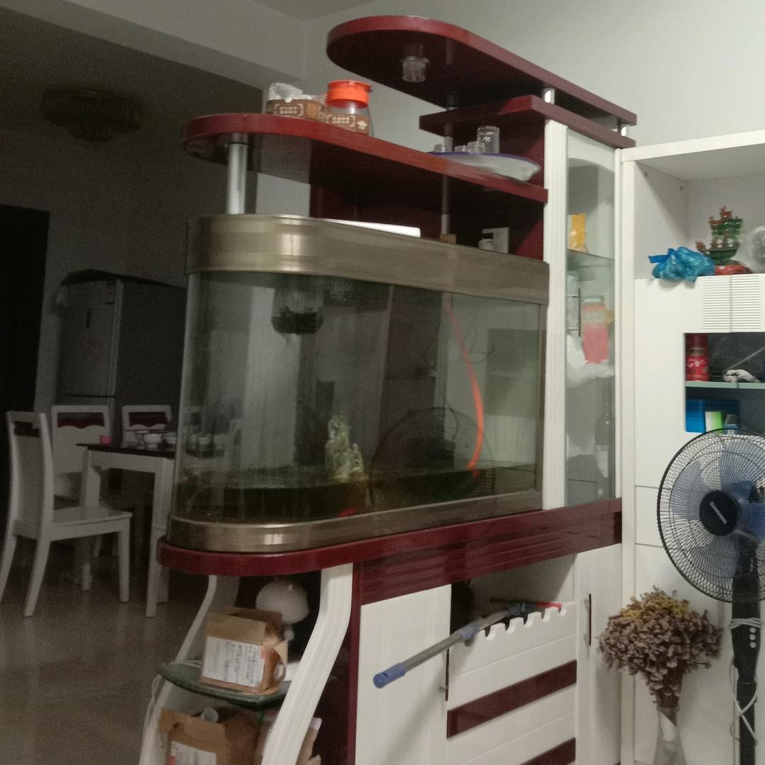 想你了，是我的错。