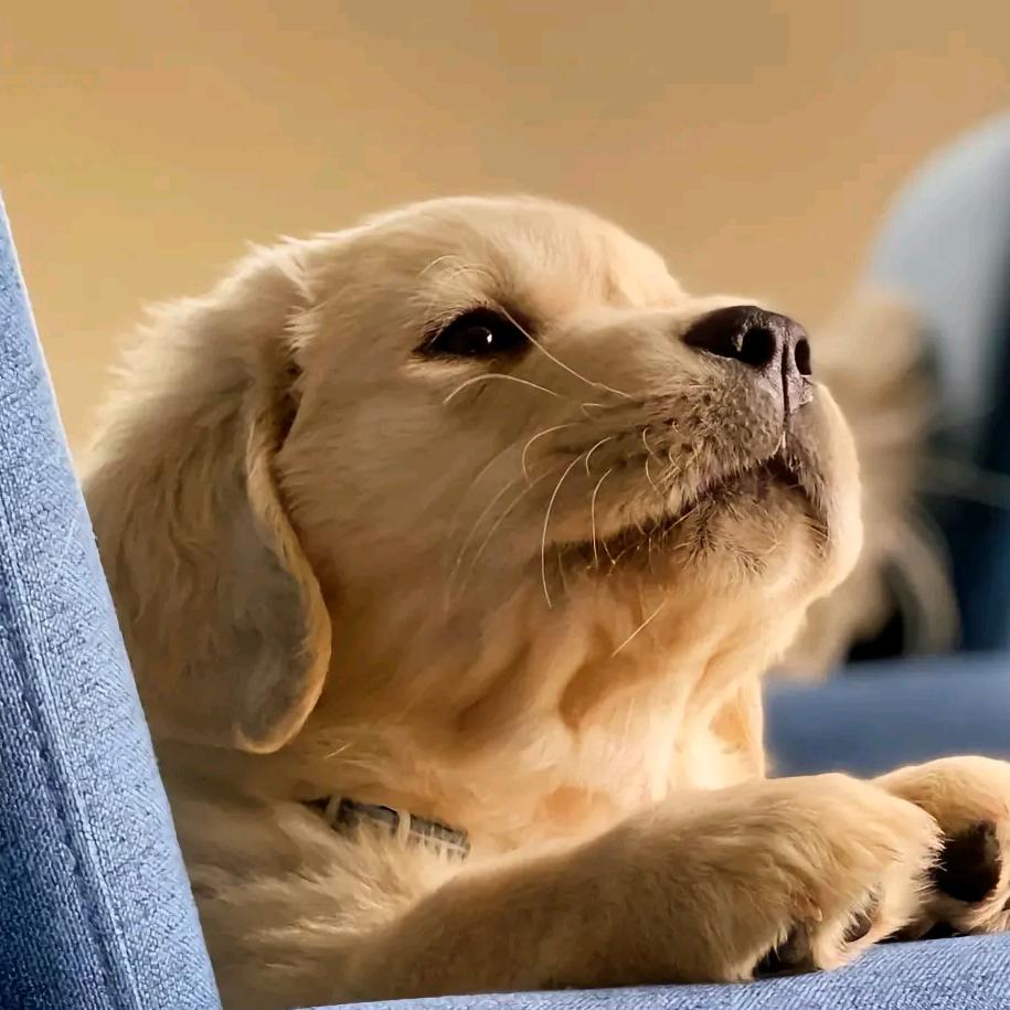 带好偏见看世界