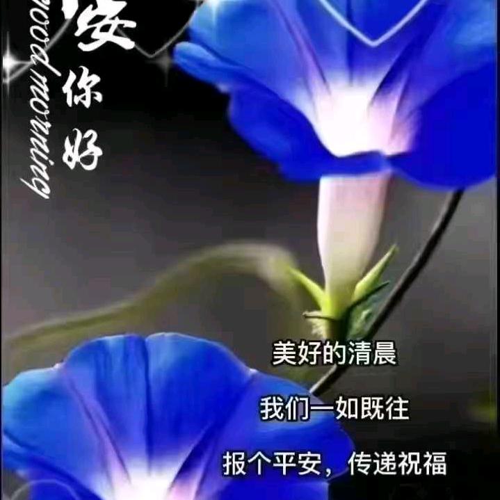 坚持维护