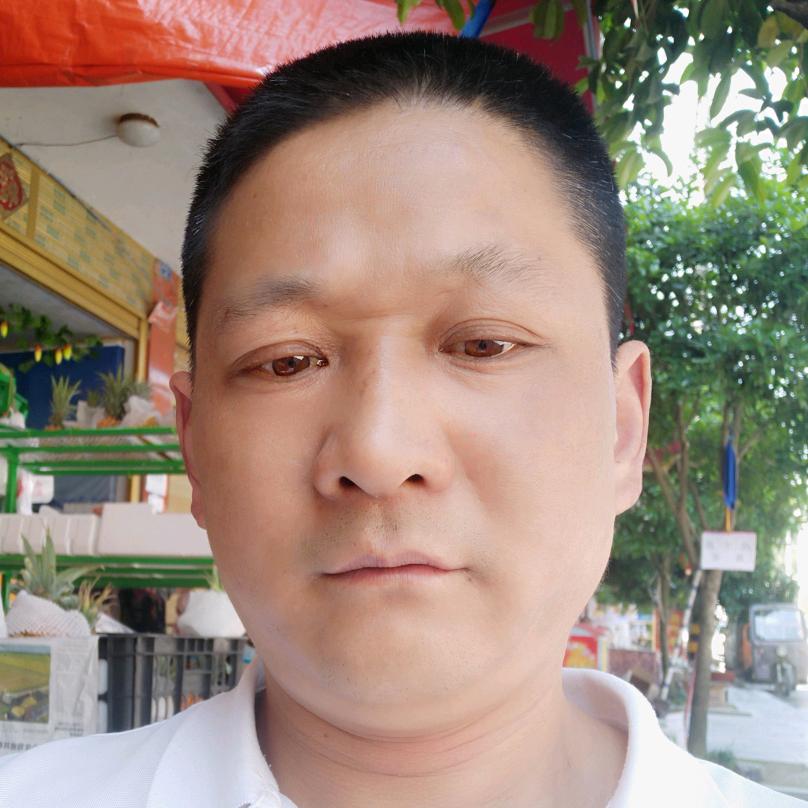 贾氏光辉