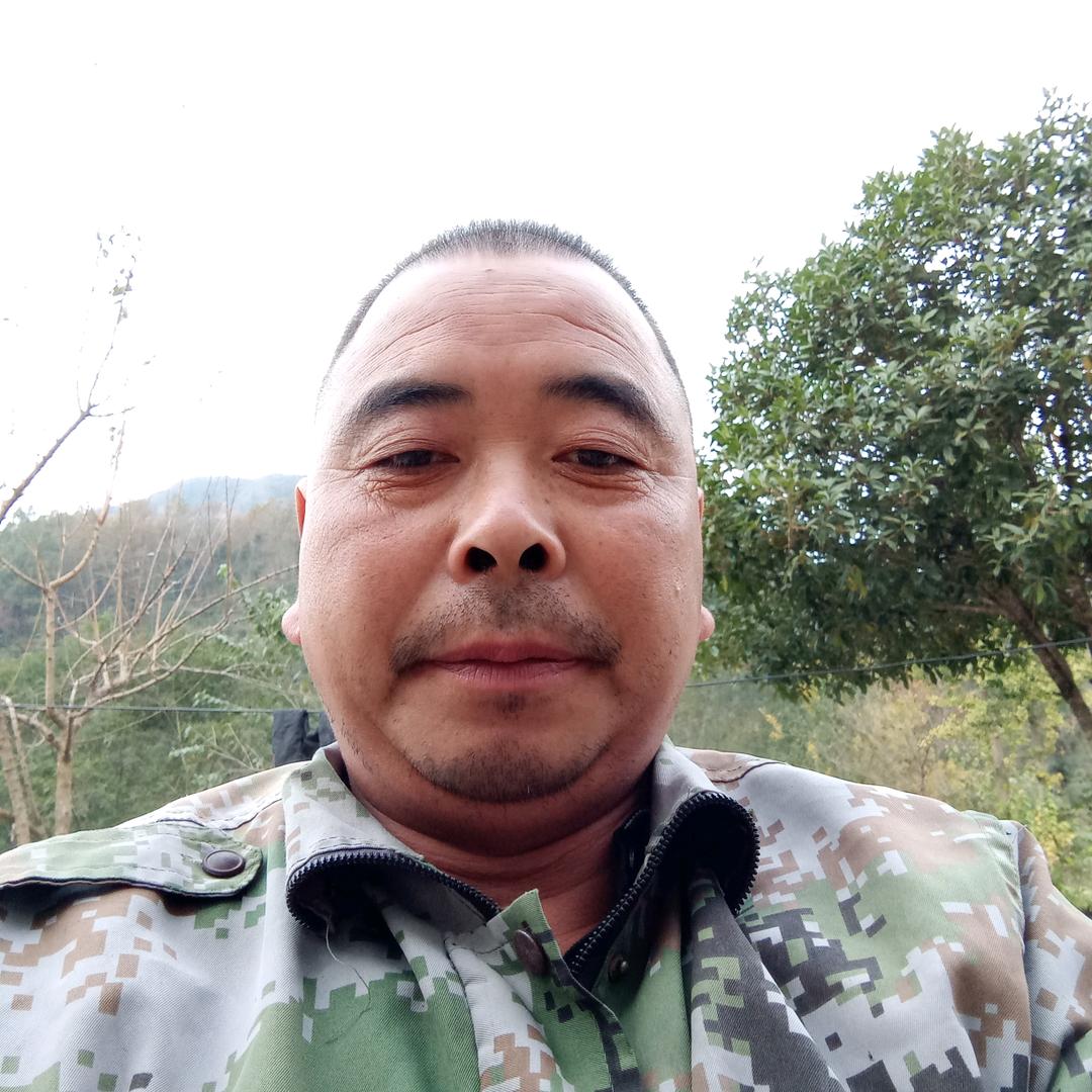 轮椅陈哥i