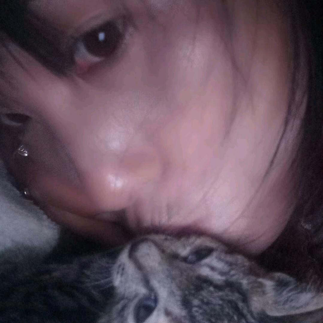 单身狗，小燕子