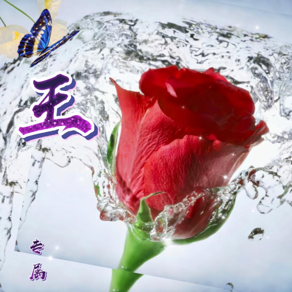 追忆经典🌻