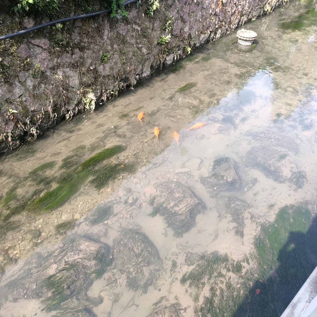 生话不易