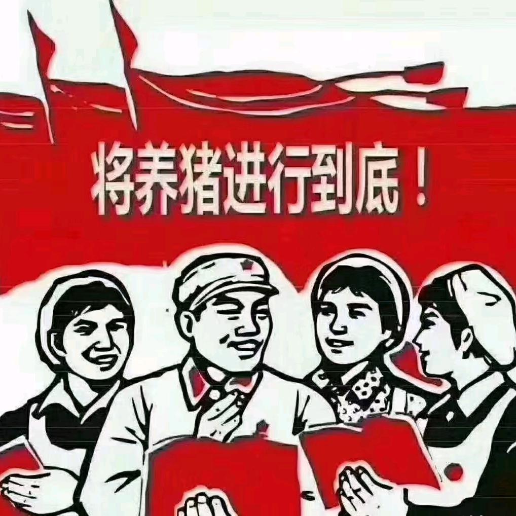 猪世纪（集团袁厂长）