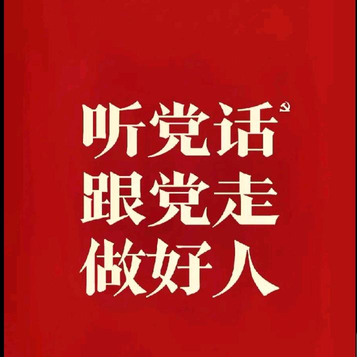 A大小挖掘机出租