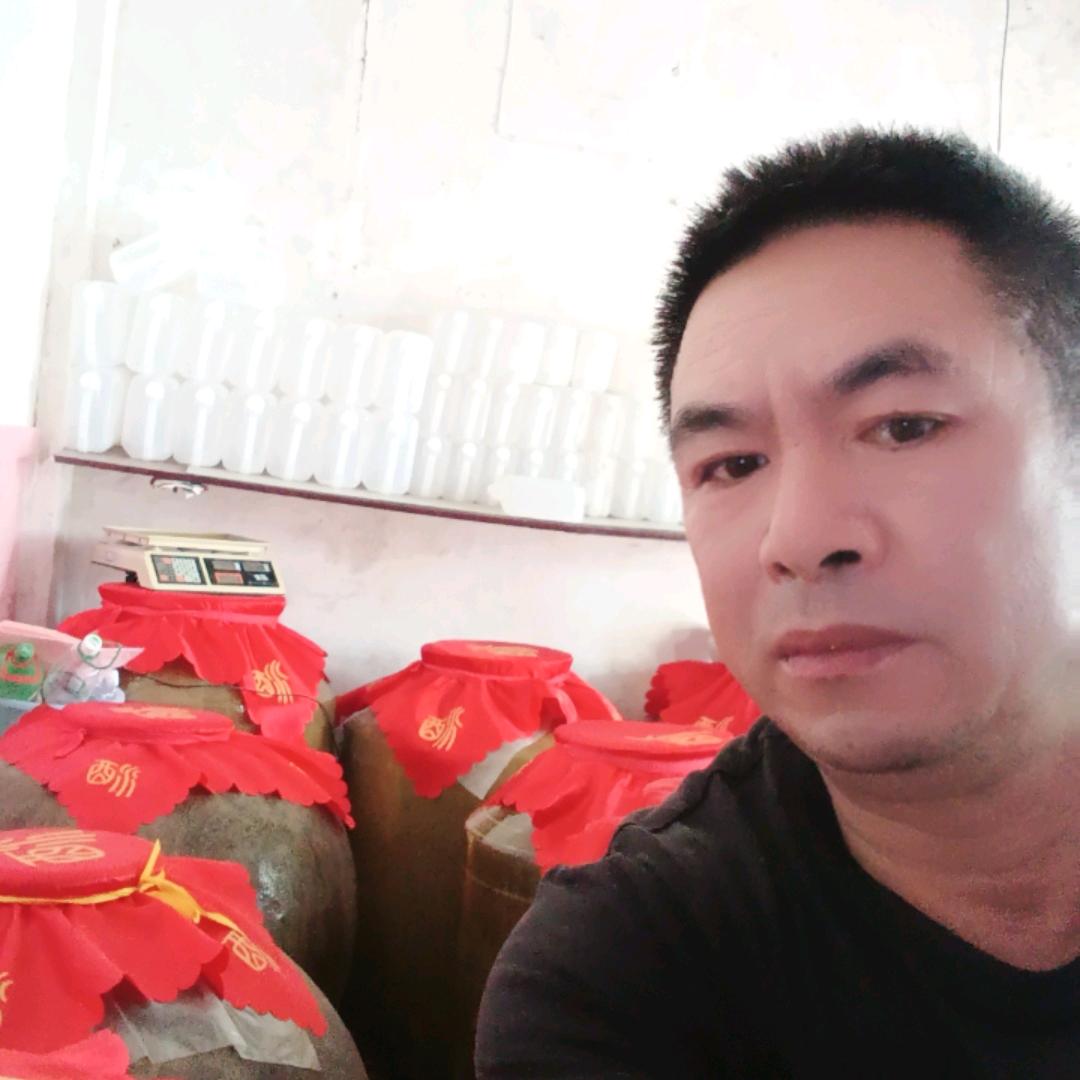 谁荒乱了我的心