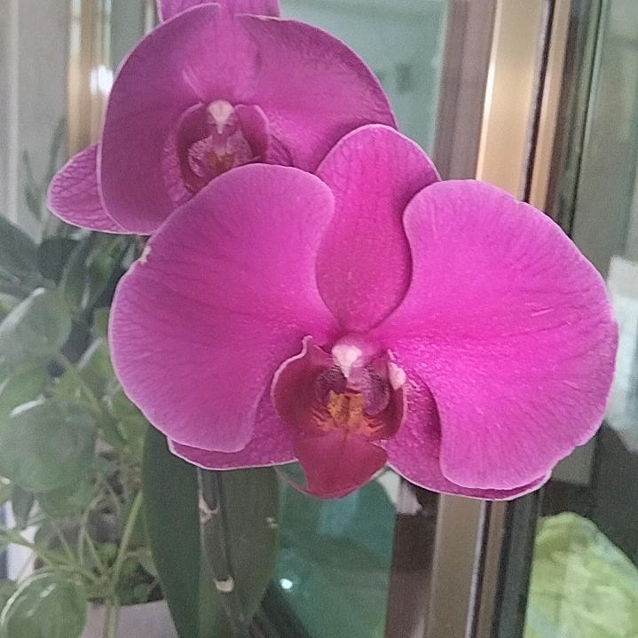 小杨小杨，喜气洋洋–––rich🧧🧧