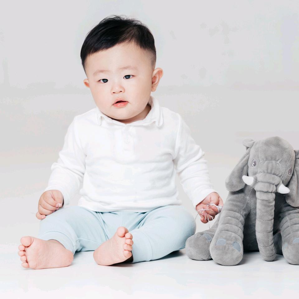 多肉小盆友