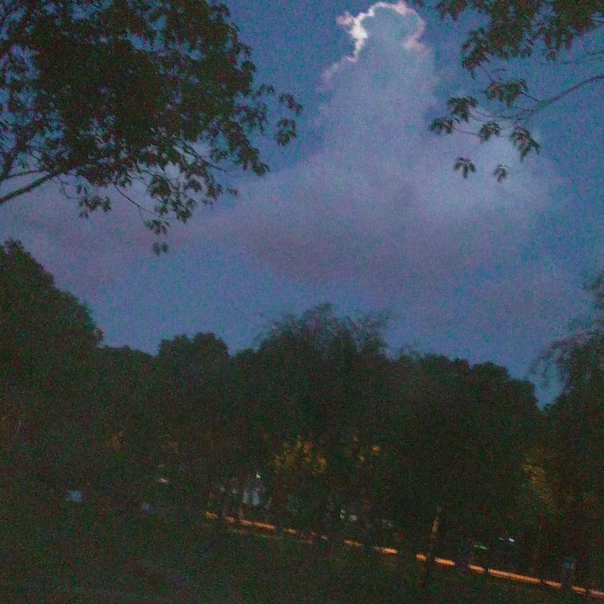 此时无声胜有声