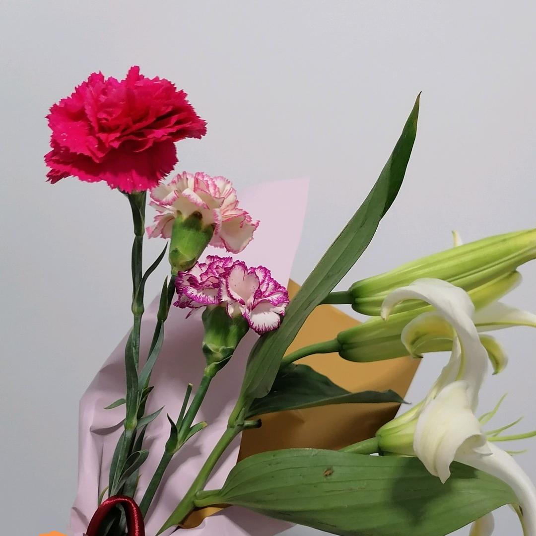 那样芬芳