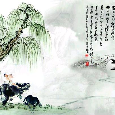 ♿️轮慢