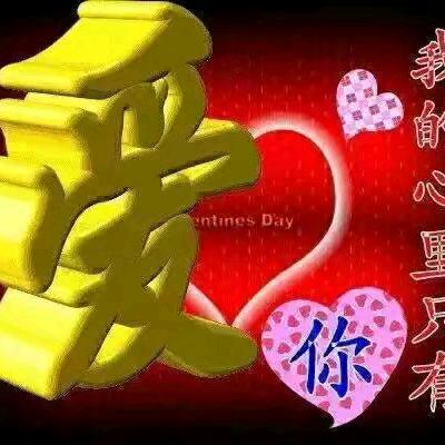 随梦而飞