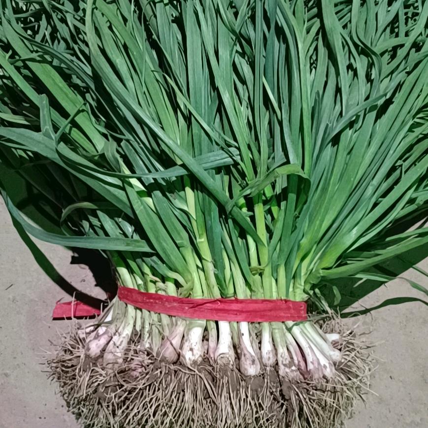 常三