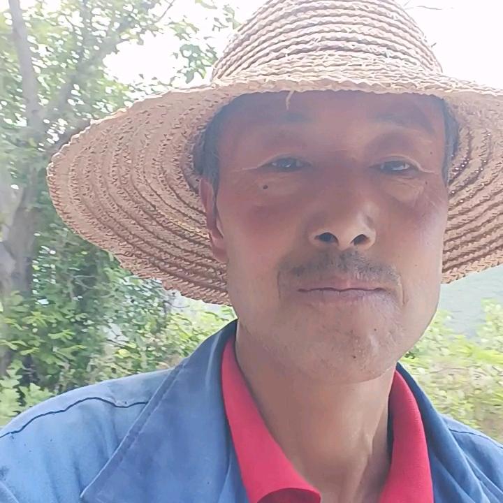 宝鸡市凤县本:人杜老头60岁