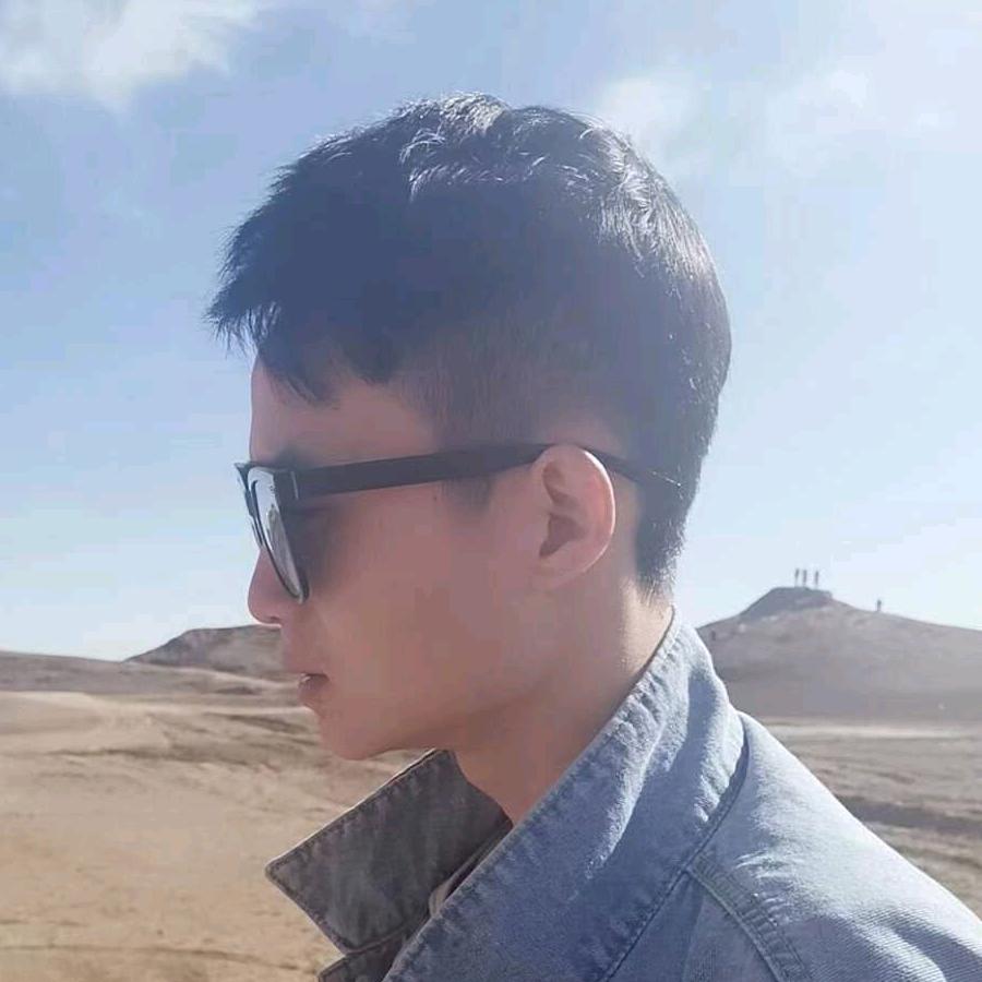 顺总二手车批发（网红车行）