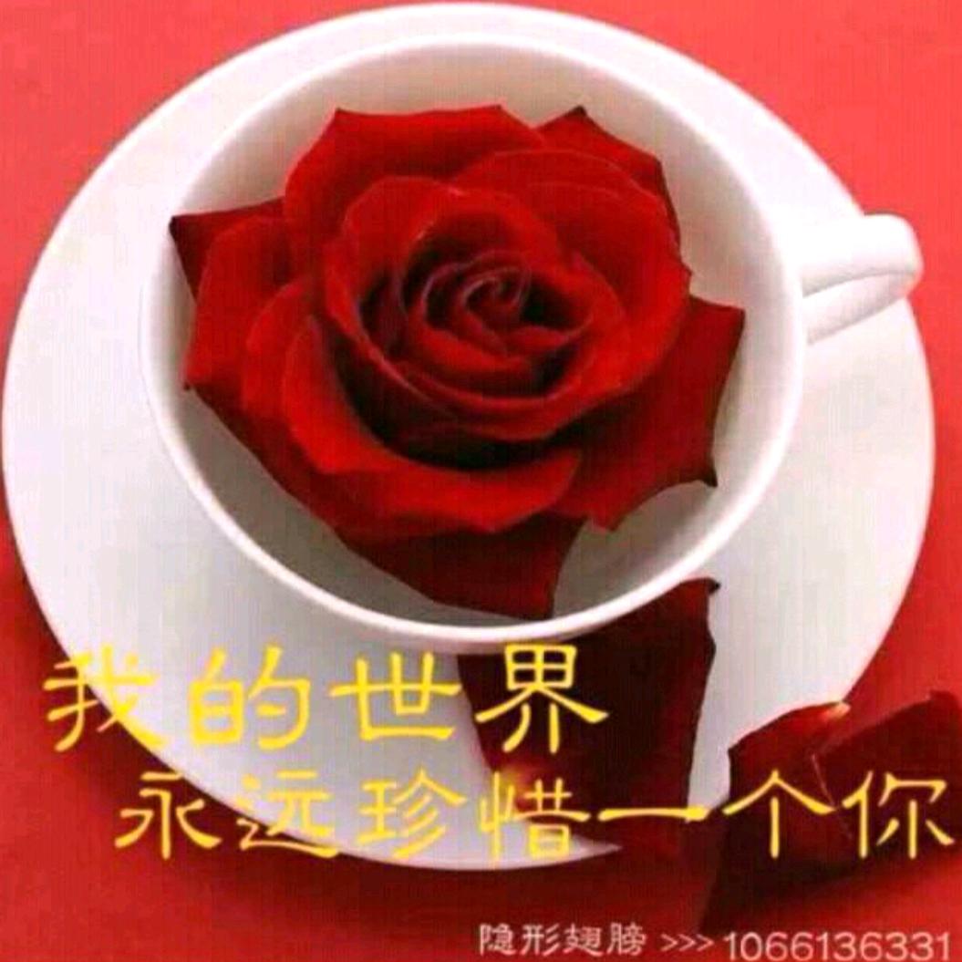 心诚交善友