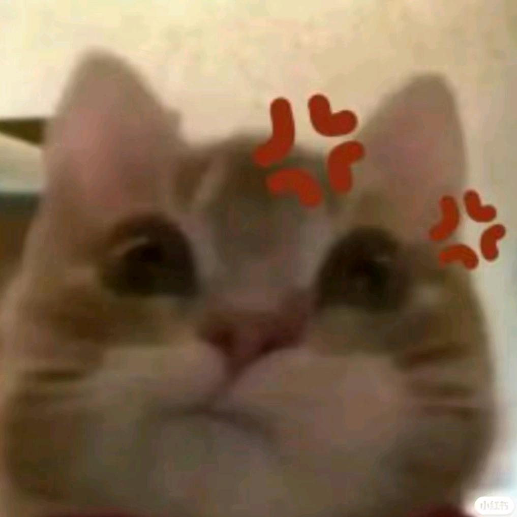 天地