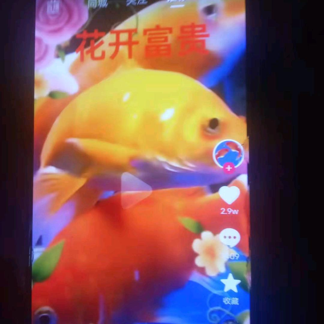 罗三姐