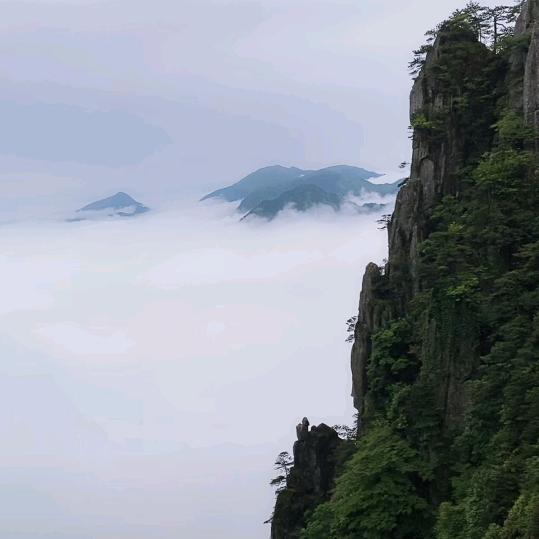 诗和远方