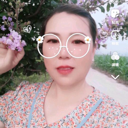 陈家大小姐🌹
