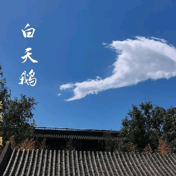 泽袤