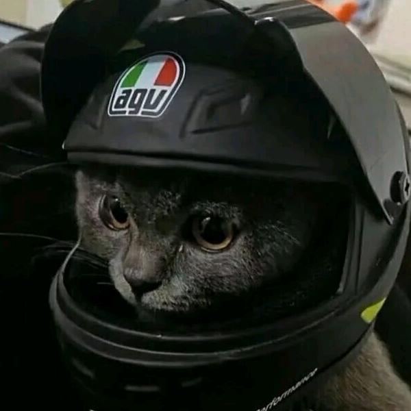 7u.